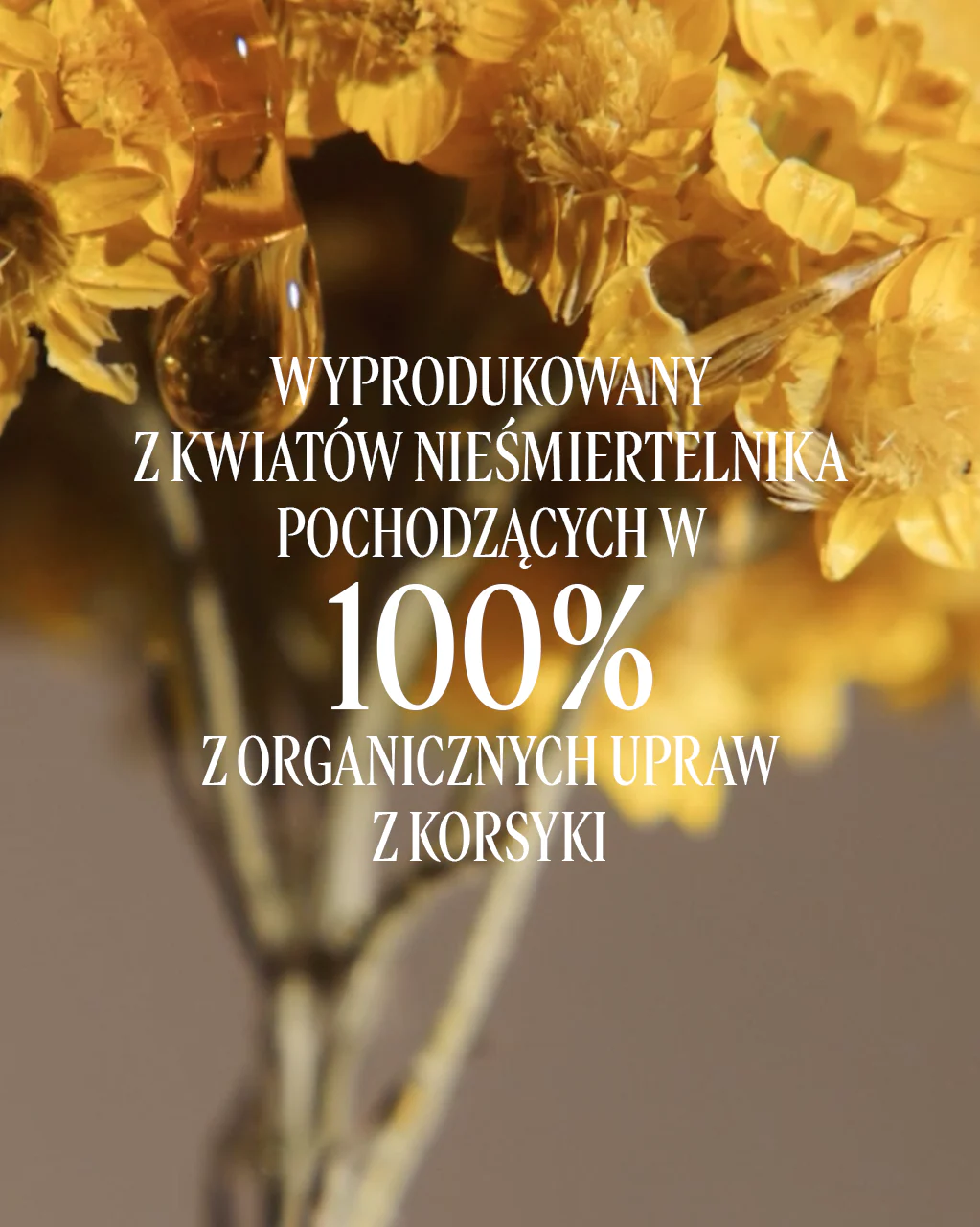 Zdjęcie produktu 6
