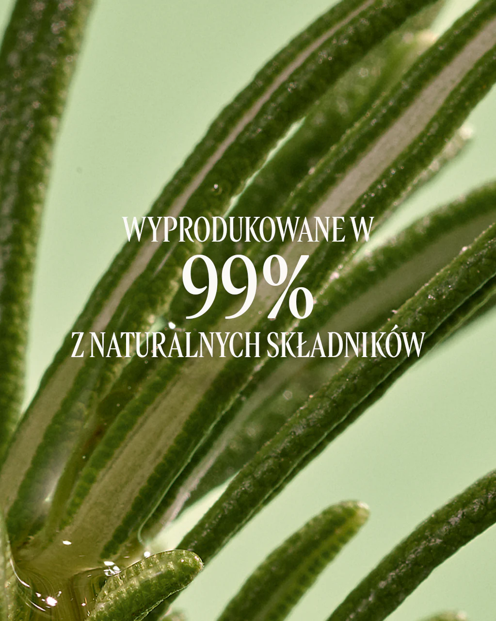 Zdjęcie produktu 7